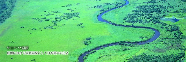 サロベツ湿原　低地における高層湿原として日本最大の広さ