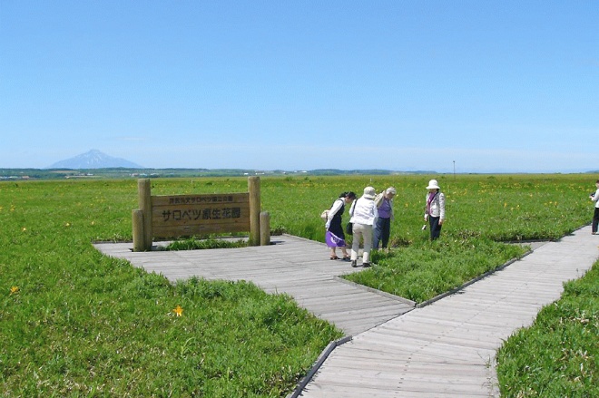 北海道豊富町 サロベツ湿原 フォトアルバム