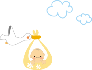 コウノトリと赤ちゃん