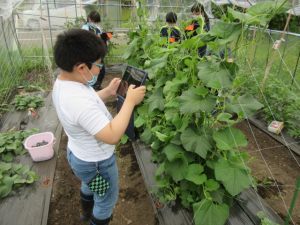 4年農園活動