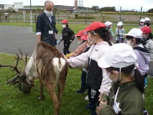 1年トナカイ牧場