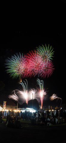 夜空を彩る夏の風物詩6
